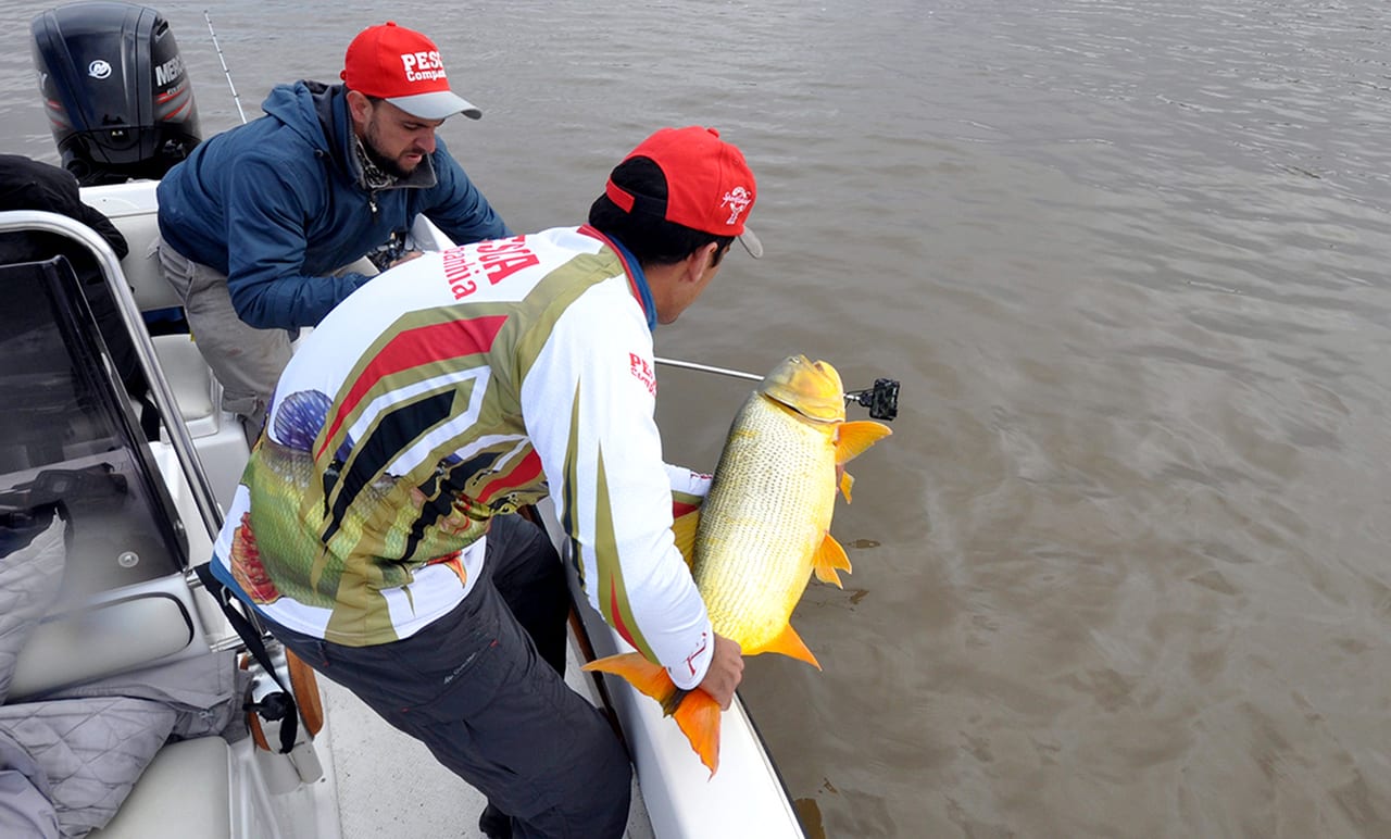 Saiba como praticar pesca esportiva sustentável no Pantanal