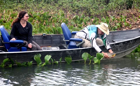 Pantanal a pleno, muito peixe e pesque solte consolidado
