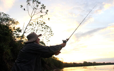 Em 37 anos, ACERT defende restrições à pesca e a preservação do Pantanal