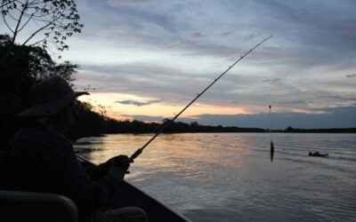 Pantanal com mais água é pesca diferenciada e natureza exuberante