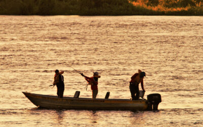 Como pescar no Pantanal? Operadores preparam tudo pra você