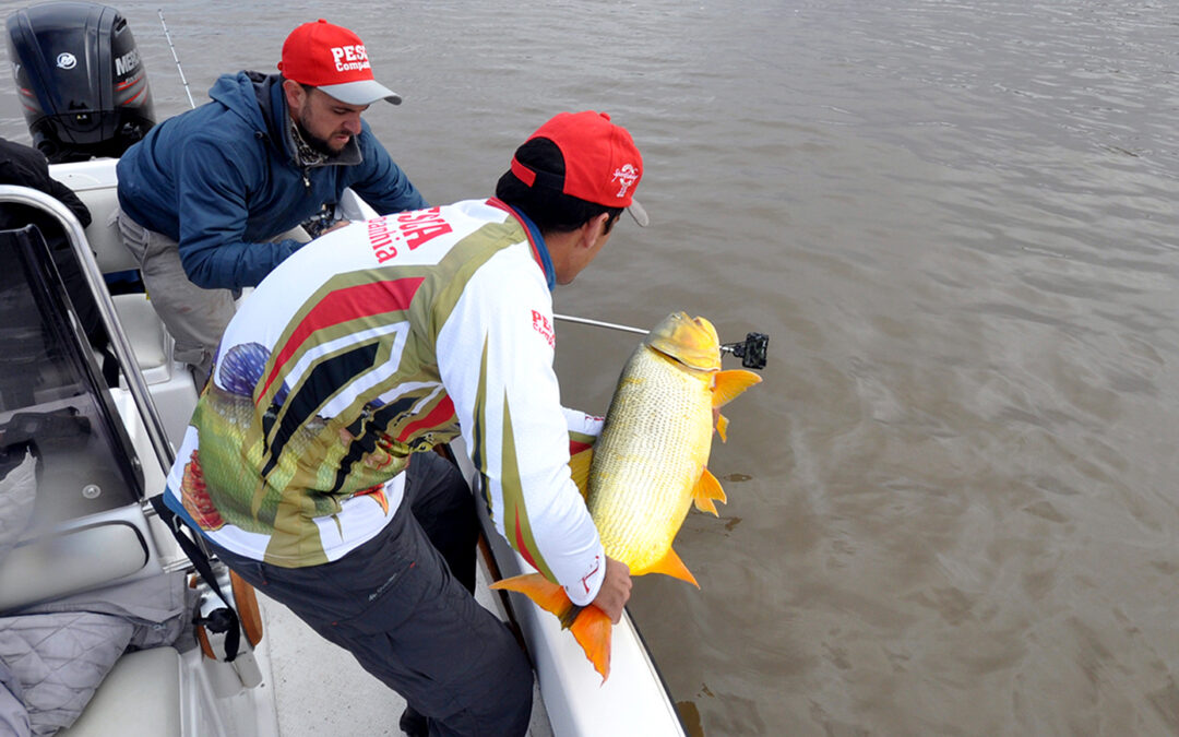 Saiba como praticar pesca esportiva sustentável no Pantanal