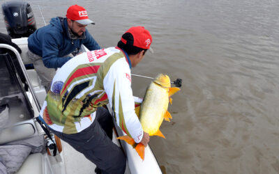 Saiba como praticar pesca esportiva sustentável no Pantanal