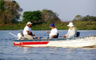 Antecipe sua reserva e pratique o pesque-solte no Pantanal
