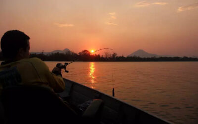 Pesca esportiva em Corumbá é vivenciar a vida pantaneira no curso do rio