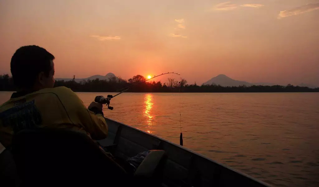 Pesca esportiva em Corumbá é vivenciar a vida pantaneira no curso do rio